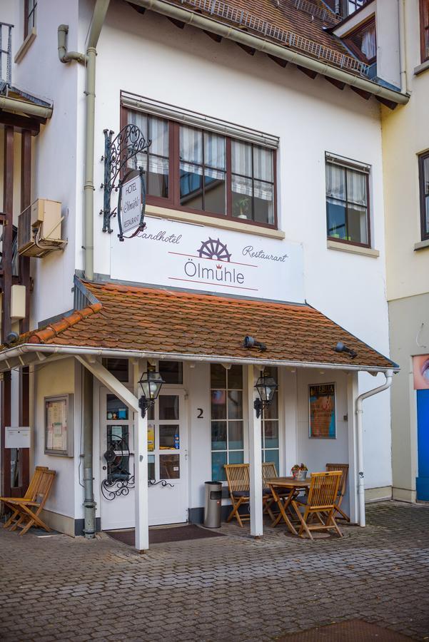 Landhotel Oelmuehle Mombris Экстерьер фото